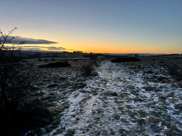 Looking along a heavily frosted path towards a colourful pre-sunrise sky