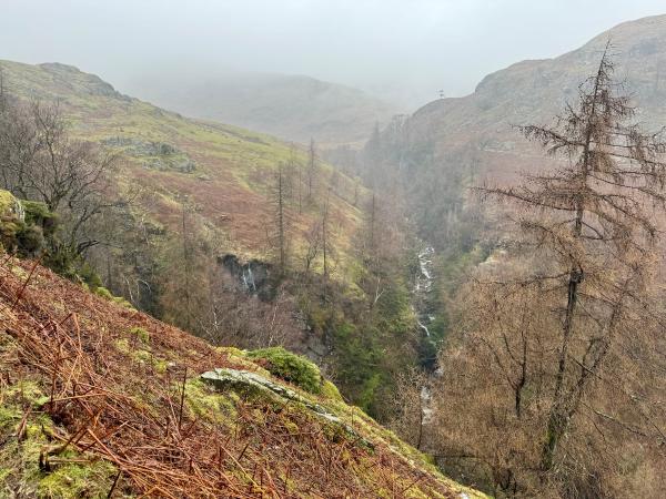 Tilberthwaite Gill