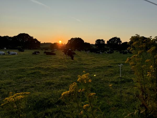 Sunset walk, Budleigh Salterton