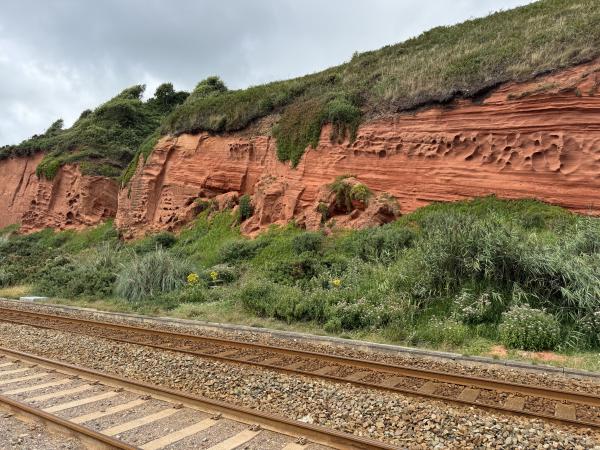 Dawlish Geology