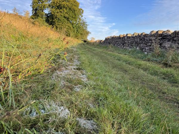 First frost of autumn