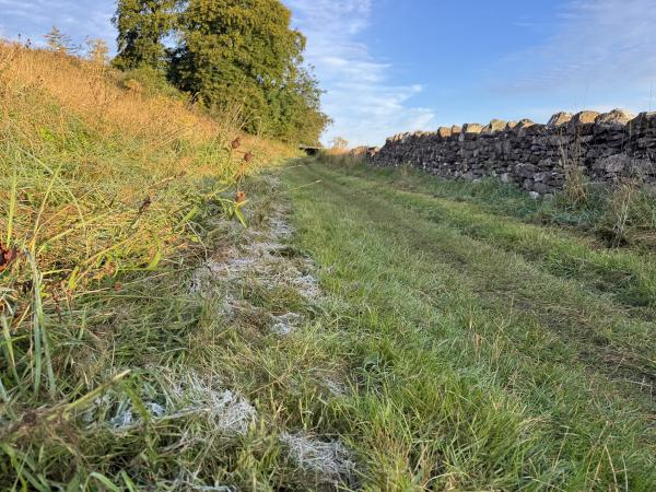First frost of autumn