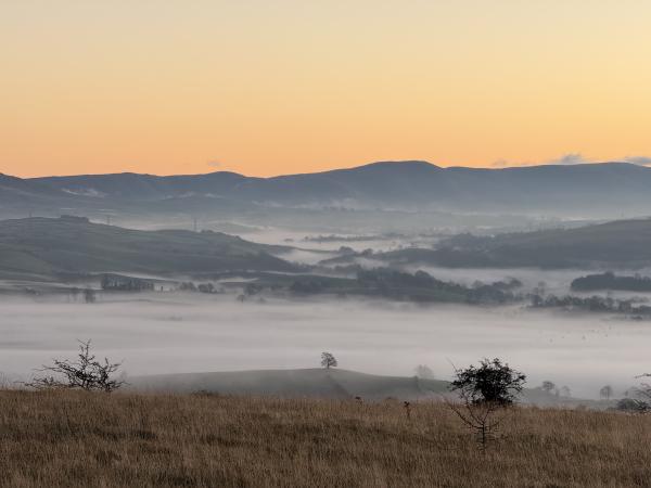 Misty Morning, Kendal, Cumbria